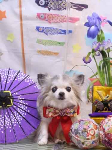 20240519クラウディアちゃん